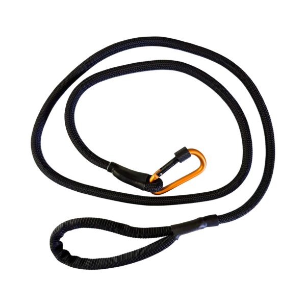 Luna Leash Dog Leash With Carabiner