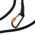 Luna Leash Dog Leash With Carabiner