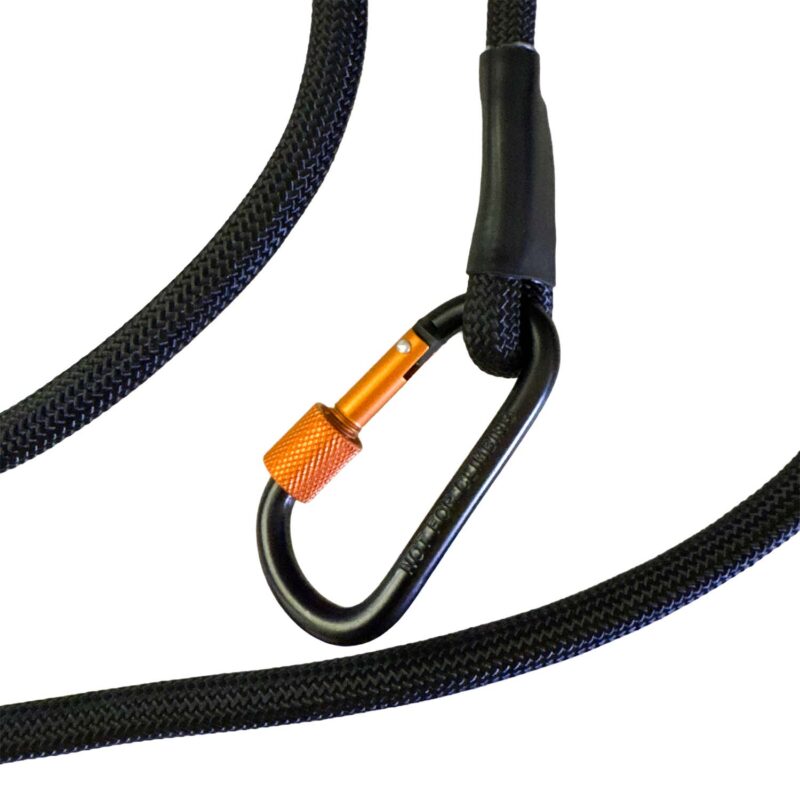 Luna Leash Dog Leash With Carabiner