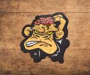 Dirt On The Brain Vinyl Decal