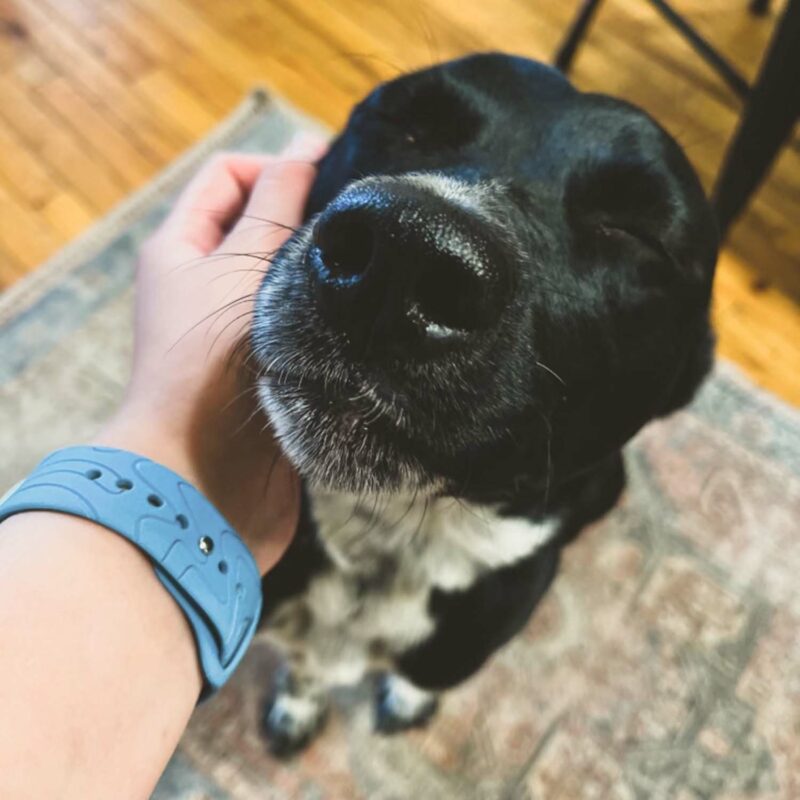 Topographic Adventure Band For Apple Watch & Ultra