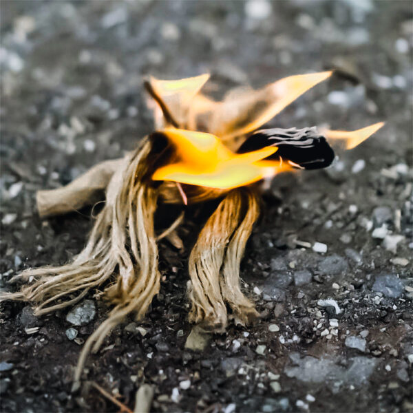 Firebrush Fire Starters - 4 Pack