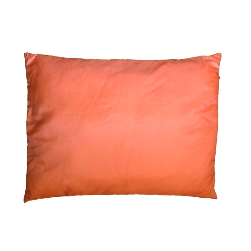 Camp Pillow / Full Size