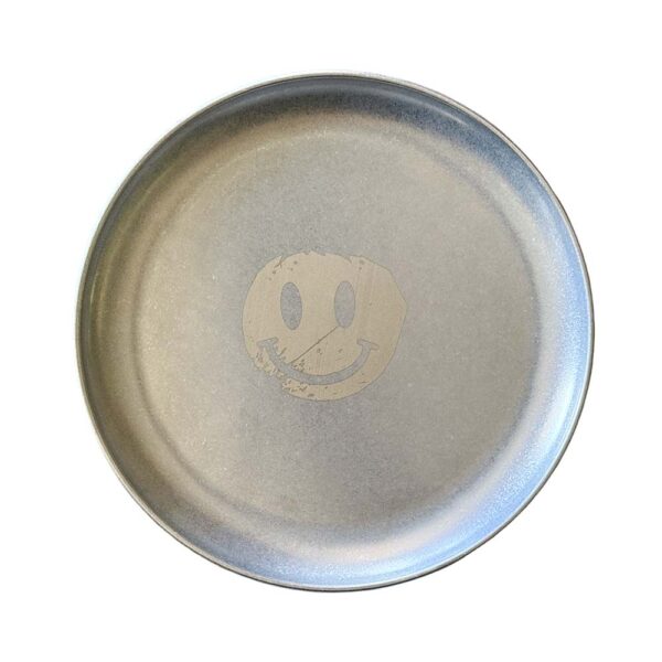 Stainless Steel Plate | Have A Dirty Day Edition