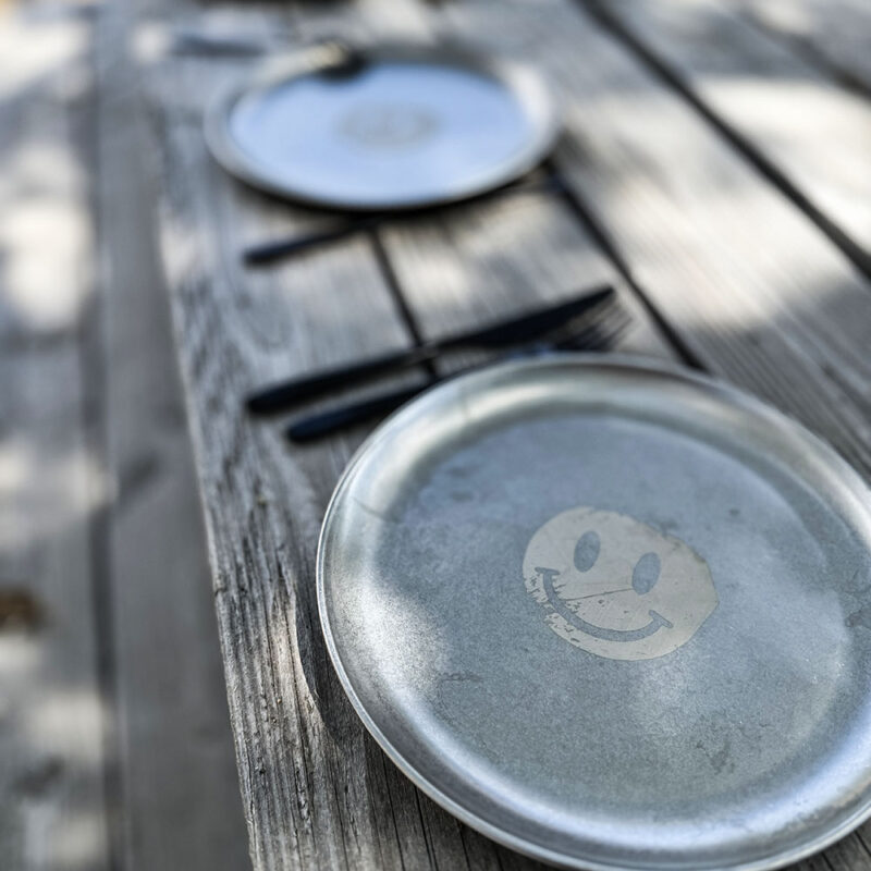 Stainless Steel Plate | Have A Dirty Day Edition