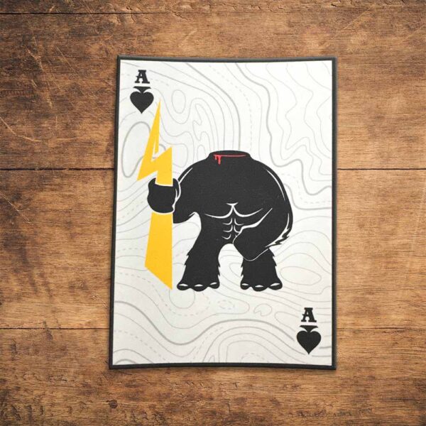 Trail Ace Vinyl Sticker