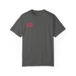 You Are Not Your Wifi Garment-dyed T-shirt