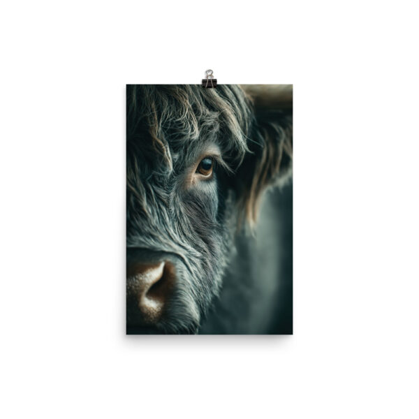 Highland Poster